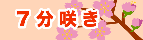 桜開花状況